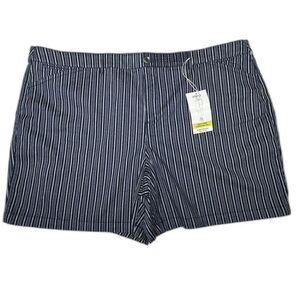 NWT Blue Shorts 24W Intro Love the Fit Stripe Elastic Waist Sunwashed Twill